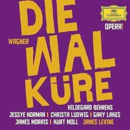 Cover von Die Walküre