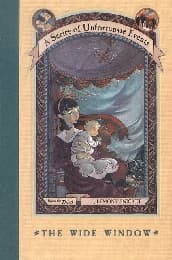 Cover von The Wide Window