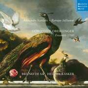 Cover von Baroque Influencer