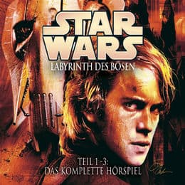 Cover von Labyrinth des Bösen 1-3