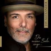 Cover von Du meine Seele, singe...