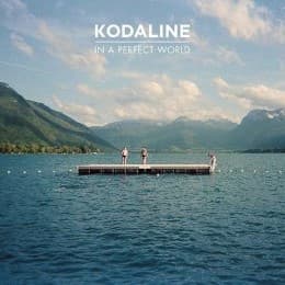 Cover von In A Perfect World