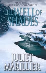 Cover von The Well of Shades
