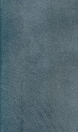 Cover von Evangelisches Gesangbuch