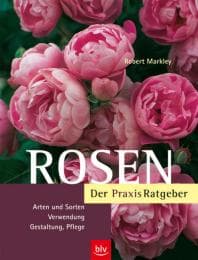 Cover von Rosen