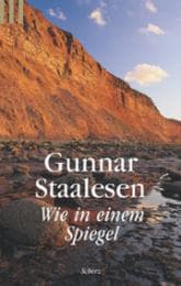 Cover von Wie in einem Spiegel
