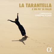 Cover von La Tarantella e un po'di Follie
