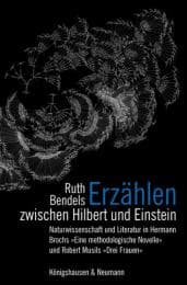 Cover von Erzählen zwischen Hilbert und Einstein