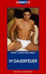 Cover von Im Dauerfeuer