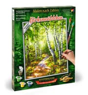 Cover von Malen nach Zahlen: Birkenwäldchen