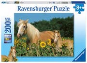 Cover von Pferdeglück