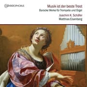 Cover von Musik ist der beste Trost