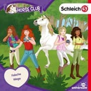 Cover von Folge 06: Falsche Wege