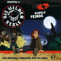 Cover von Die Wilden Kerle 4