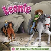 Cover von 17: Der mysteriöse Weihnachtsbesuch