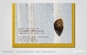 Cover von Schneckenhaus