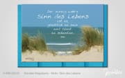 Cover von Sinn des Lebens