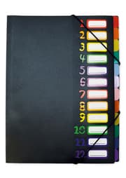 Cover von TimeTEX Tisch-Fächermappe 1-12 A4-Plus, farbig mit Verschlussgummi