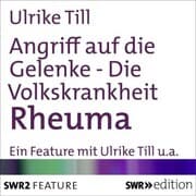 Cover von Angriff auf die Gelenke