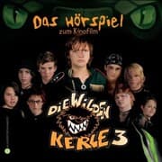 Cover von Die Wilden Kerle 3