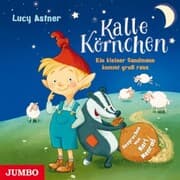 Cover von Kalle Körnchen. Ein kleiner Sandmann kommt groß raus