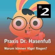 Cover von Praxis Dr. Hasenfuß: Warum können Vögel fliegen?