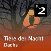Cover von Tiere der Nacht: Dachs