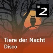Cover von Tiere der Nacht: Disco