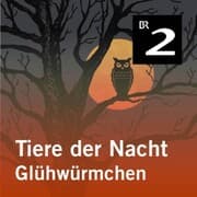 Cover von Tiere der Nacht: Glühwürmchen