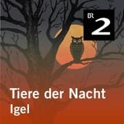 Cover von Tiere der Nacht: Igel