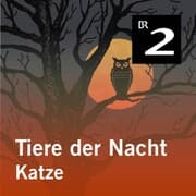 Cover von Tiere der Nacht: Katze
