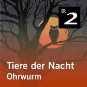 Cover von Tiere der Nacht: Ohrwurm
