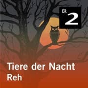 Cover von Tiere der Nacht: Reh