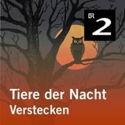 Cover von Tiere der Nacht: Verstecken