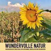 Cover von Wundervolle Natur: Naturgeräusche (ohne Musik) zum Entspannen, Regenerieren und Einschlafen