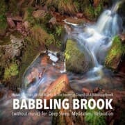 Cover von Babbling Brook (without music) for Deep Sleep, Meditation, Relaxation: Relax, De-stress Or Fall Asleep To The Soothing Sound Of A Babbling Brook