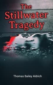 Cover von The Stillwater Tragedy