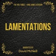 Cover von The Holy Bible - Lamentations