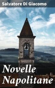 Cover von Novelle Napolitane
