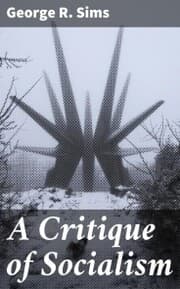 Cover von A Critique of Socialism