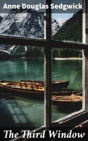 Cover von The Third Window