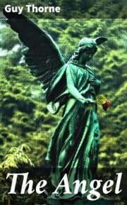 Cover von The Angel