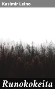 Cover von Runokokeita