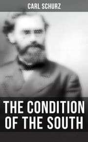 Cover von The Condition of the South