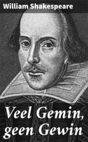 Cover von Veel Gemin, geen Gewin