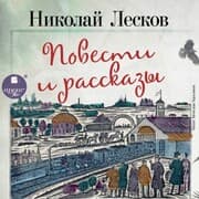 Cover von Povesti i rasskazy