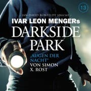 Cover von 13: Augen der Nacht