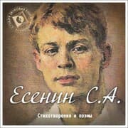 Cover von Stihi i poemy Esenina