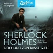 Cover von Der Hund von Baskerville