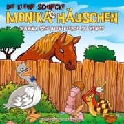 Cover von 63: Warum schlafen Pferde so wenig?